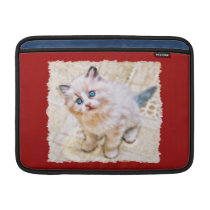 Siamese Kitten with Soulful Blue Eyes Macbook Air Sleeves