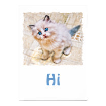 Siamese Kitten with Soulful Blue Eyes Poster