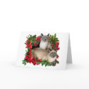 Siamese Kittens in Berry Frame cards
