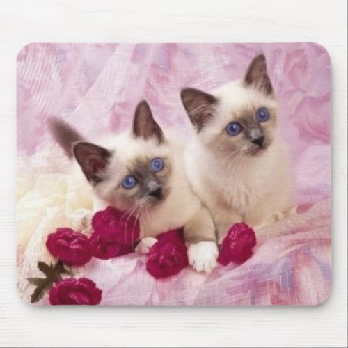 siamese kittens mousepad