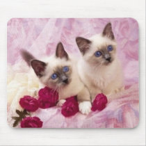 siamese kittens mousepads by pastormullins siamese kittens mousepads