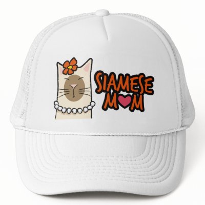 The perfect hat for a devoted how to make cat in hat hat. The perfect hat for a devoted