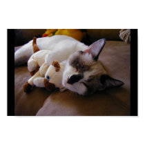 Siamese poster posters by allysonthomas Siamese poster posters