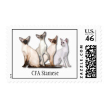 Siamese Stamp 1