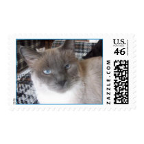 Siamese Stamp