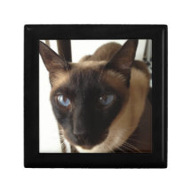 Siamese tile box jewelry box