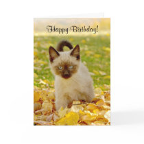 Siamese-X Kitten Birthday Card