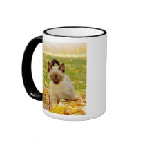 Siamese-X Kitten Mug