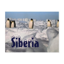 Siberia arctic winter  postcard
