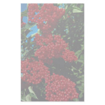 Siberia, Russia Customized Stationery