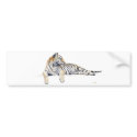 Siberian/ / Bengal Tiger bumper stickers