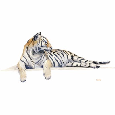 Siberian / Bengal Tiger Photo Cut Outs by jcsaintpo