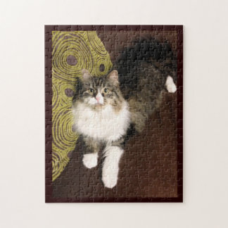 Siberian T-Shirts, Gifts, Art, Posters, and more