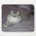 Siberian Cat Mousepad
