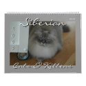 Siberian Cats and Kittens 09 Calendar by ArtistNikki Siberian Cats and Kittens 09 Calendar