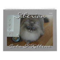 Siberian Cats and Kittens Calendar Final2