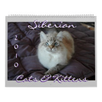 Siberian Cats & Kittens 2010 Calendar calendars