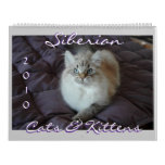 Siberian Cats & Kittens 2010 Calendar B