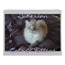 Siberian Cats & Kittens 2010 Calendar B