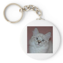 Siberian Colorpoint Kitten on products keychains