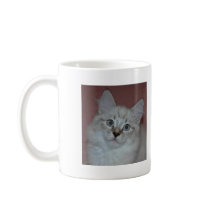 Siberian Colorpoint Kitten on products mugs