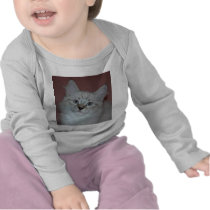 Siberian Colorpoint Kitten on products t-shirts