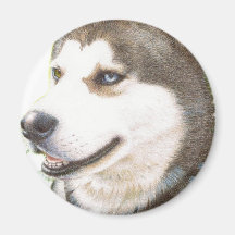 Siberian Huskey Dog Magnet