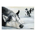 "Siberian Huskey's Penquin Dream" Dog Art Poster posters