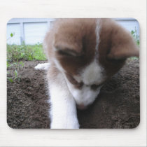 Siberian Husky (2) Mouse Mat