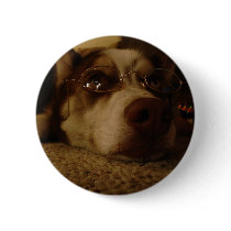 Siberian Husky (5) Pinback Buttons