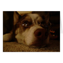 Siberian Husky (5) Card