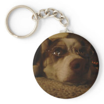 Siberian Husky (5) Key Chains