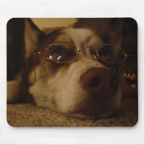 Siberian Husky (5) Mouse Pad