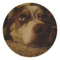 Siberian Husky (5) Stickers