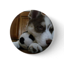 Siberian Husky (6) Pins