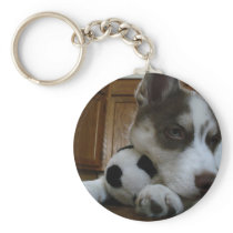 Siberian Husky (6) Key Chain