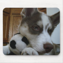 Siberian Husky (6) Mouse Pads