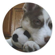 Siberian Husky (6) Stickers