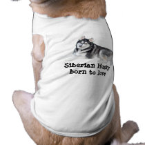 Siberian Husky Beautiful Pet Clothing