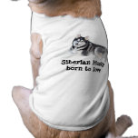 Siberian Husky Beautiful Pet Clothing