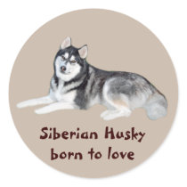 Siberian Husky Beautiful Sticker