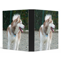 Siberian husky binder