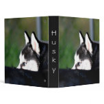 Siberian husky binder