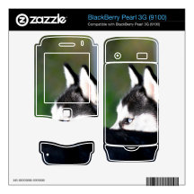 Siberian Husky BlackBerry Pearl 3G (9100) skin Skins For BlackBerry