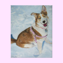 Siberian Husky "Blue" Stretched Canvas Print canvas prints