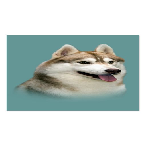 Siberian Husky Breeder Business Card