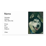 Siberian Husky Business Card