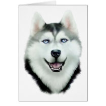 Siberian Husky cards by DanesRUs Siberian Husky cards