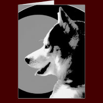 Siberian Husky Card / Alaskan Malamute Card cards