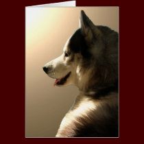 Siberian Husky Card / Alaskan Malamute Card